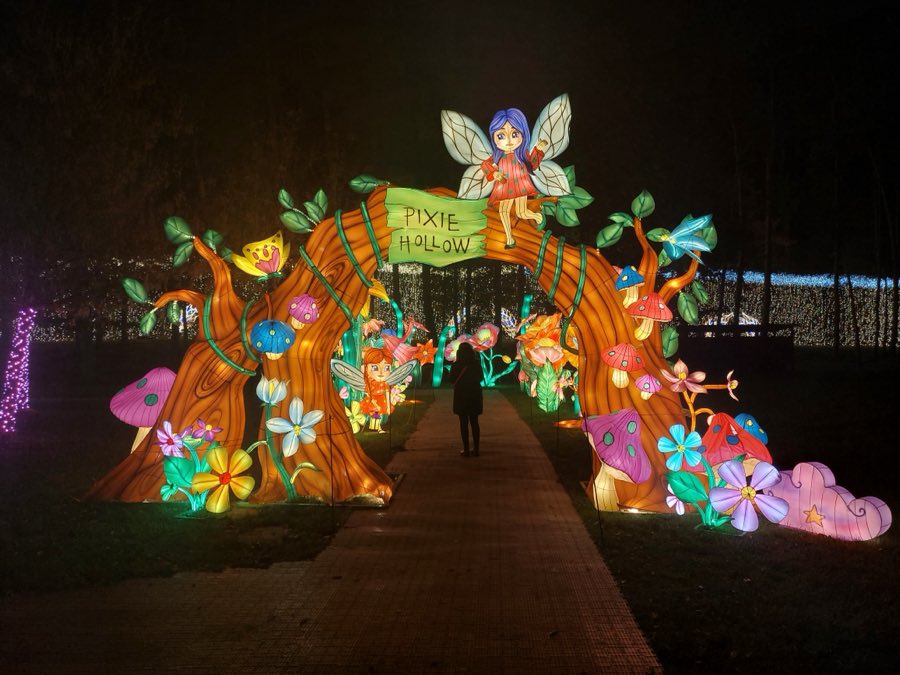 Arc de flori și zâne luminate peste alee